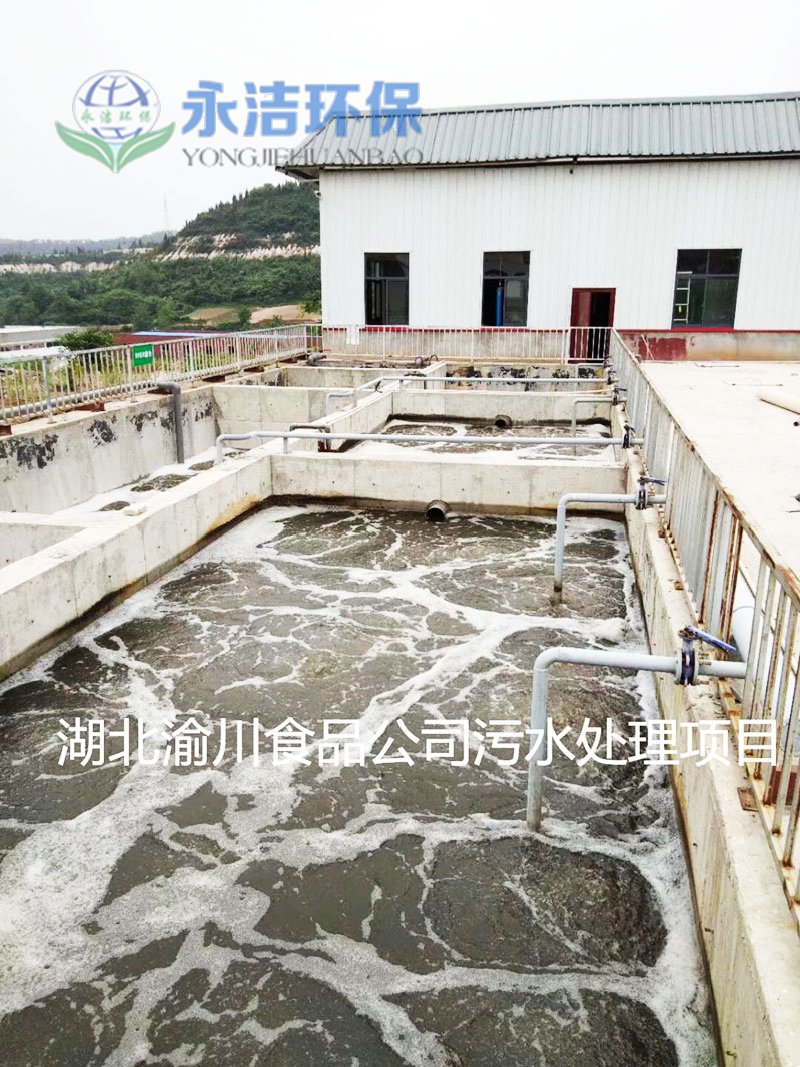 湖北渝川泡菜废水NineGame手游下载中心